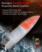 WA Series 7Inch (180mm) Santoku Knife
