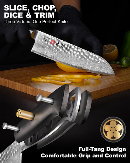 Hammered Damascus Series 7Inch Santoku Knife (18cm)