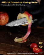 Hammered Damascus Series 5.45Inch Petty Paring Knife (13.5cm)