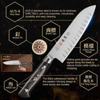 Classic Series 7 Inch (18cm) Santoku Knife