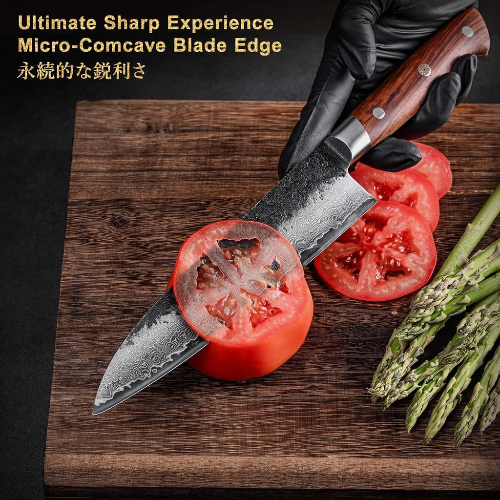 Black Damascus Series 8.27 inch (210mm) Gyuto Chef Knife