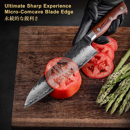 Black Damascus Series 8.27 inch (210mm) Gyuto Chef Knife